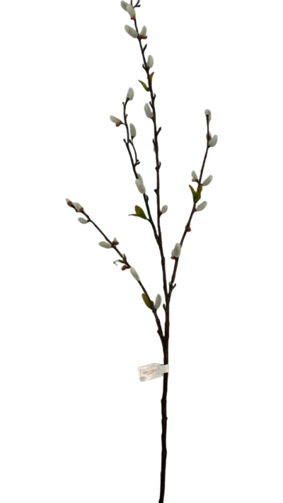 Large Pussy Willow Spray with Leaves Large Pussy Willow Spray with Leaves