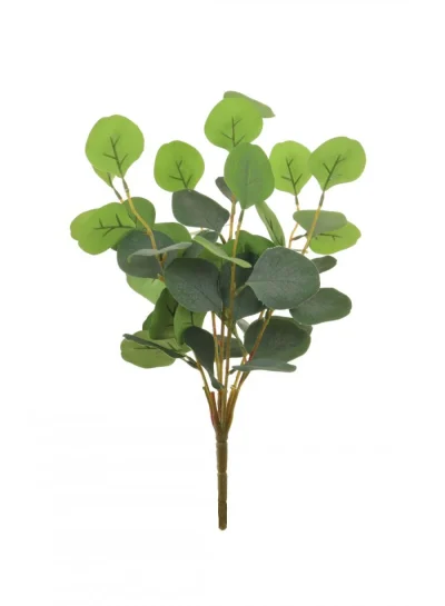 Silver Dollar Eucalyptus Bunch Silver Dollar Eucalyptus Bunch