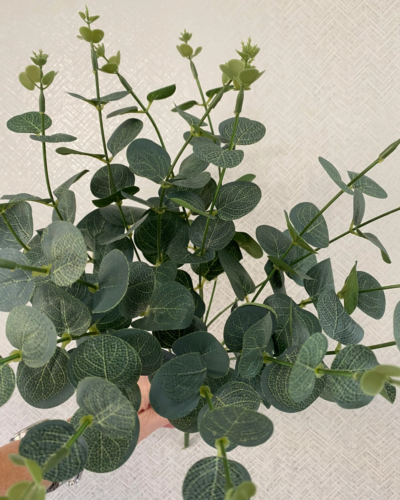 50cm Eucalyptus Bush 50cm Eucalyptus Bush
