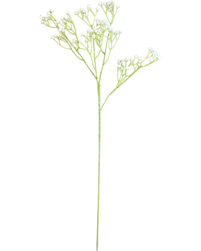 White Gypsophila Spray White Gypsophila Spray