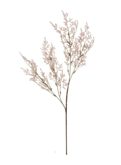 Limonium Spray Limonium Spray