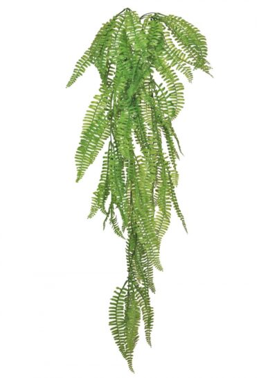 Artificial Trailing Fern Artificial Trailing Fern