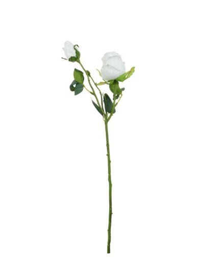 Dried Touch Gemima Rosebud Spray