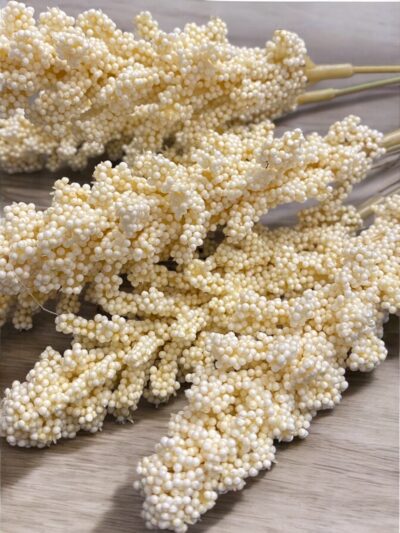 Astilbe Bundle (six stems) Cream Astilbe Bundle (six stems) Cream