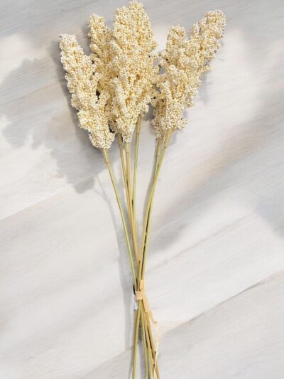 Astilbe Bundle (six stems) Cream Astilbe Bundle (six stems) Cream