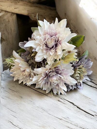 Dahlia Mixed Bush with Foliage