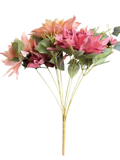 Dahlia Mixed Bush with Foliage