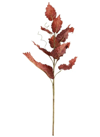 Dried Touch Leaf Branch Dried Touch Leaf Branch
