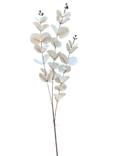 Eucalyptus Foliage Spray 80cm Eucalyptus Foliage Spray 80cm