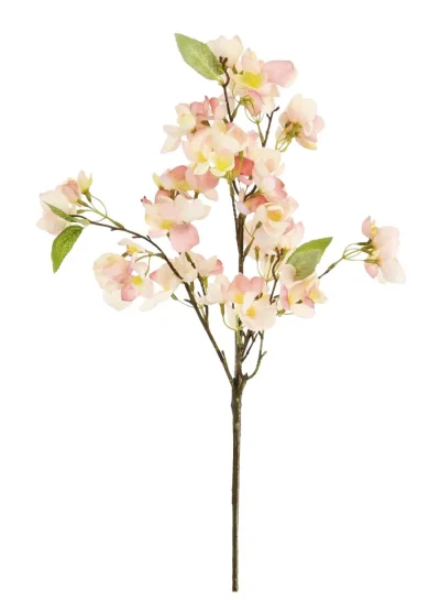 Orchard Blossom Branch Orchard Blossom Branch