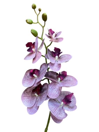 Artificial Phalaenopsis Orchid Purple Stem Artificial Phalaenopsis Orchid Purple Stem