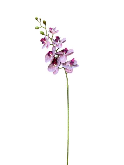 Artificial Phalaenopsis Orchid Purple Stem Artificial Phalaenopsis Orchid Purple Stem