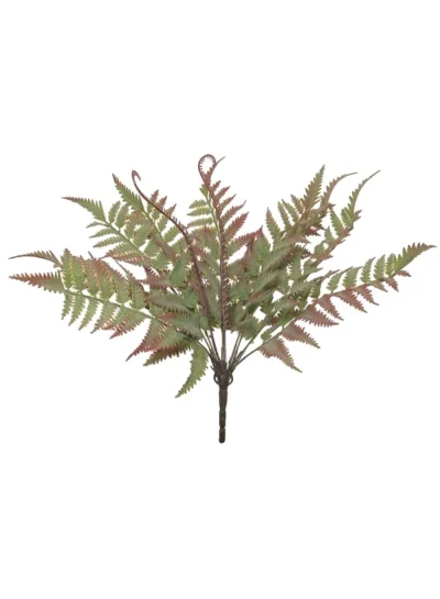 Regal Red Fern Bunch Regal Red Fern Bunch