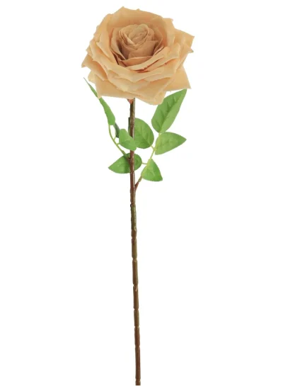 Tall Marie Rose Stem