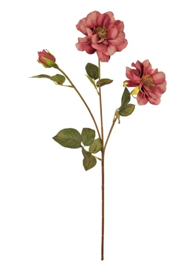 Waterlily Dahlia Spray Waterlily Dahlia Spray