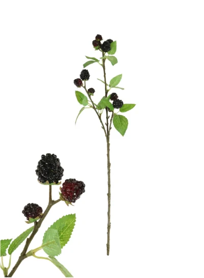 Blackberry Fruit Spray with Leaves Blackberry Fruit Spray with Leaves