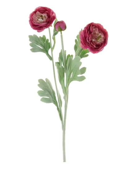 Ranunculus Spray Ranunculus Spray