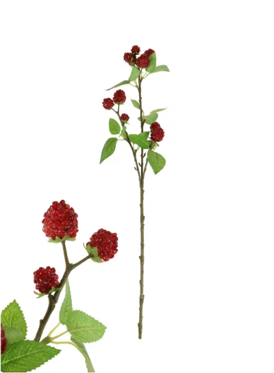 Raspberry Fruit Spray with Leaves Raspberry Fruit Spray with Leaves