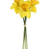 Spring Daffodil Bunch (3 Stems)