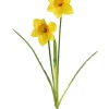 Spring Daffodil Spray (2 flower heads)
